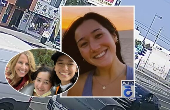 Woman Stabbed In Head With ‘Garden Shears’ In Random Daylight Attack On LA Street