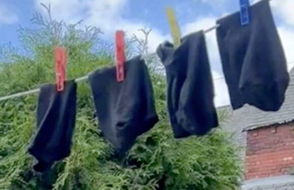 Woman horrified as boyfriend leaves socks on washing line for two months