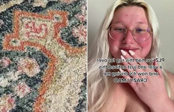 Woman in hysterics as she 'can't unsee' hidden cartoon character in her cute rug – so can you spot it? | The Sun