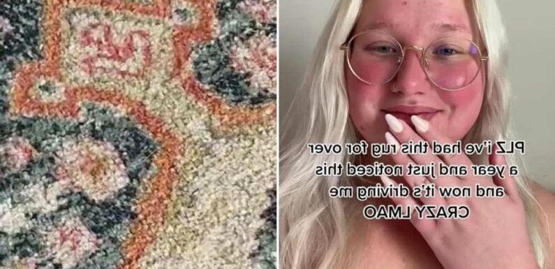 Woman in hysterics as she 'can't unsee' hidden cartoon character in her cute rug – so can you spot it? | The Sun