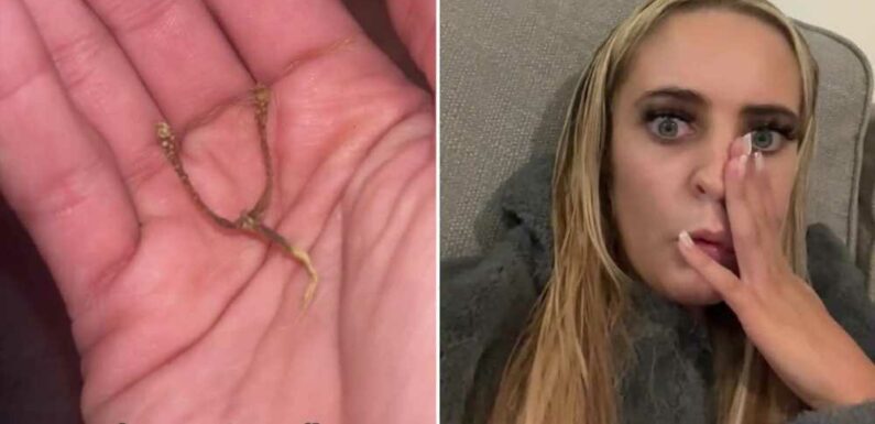 Woman in tears after finding her ‘coil’ on the floor – then mortified when she realises what really was going on | The Sun