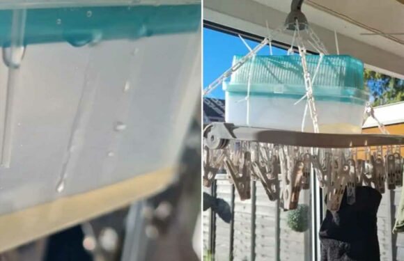 Woman shares £1.99 hack to get her clothes dry even quicker – but not everyone's convinced | The Sun