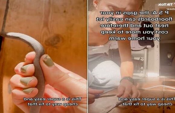 Woman shares cheap way to ensure heat doesn't escape from your home