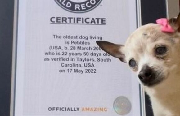 World’s oldest dog dies ages 22 as tributes made for country music loving pooch