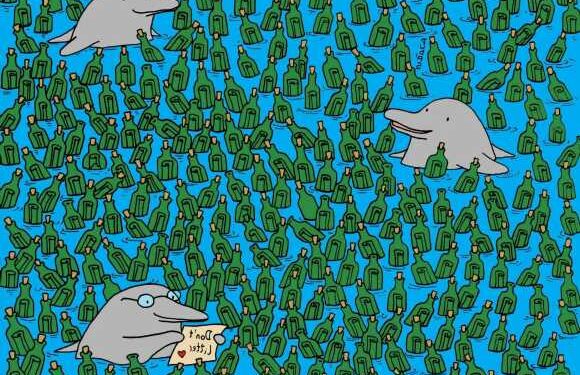 You have the eyes of a hawk if you can spot FIVE empty bottles in less than 30 seconds | The Sun