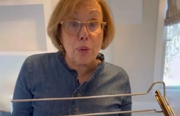 You’re cleaning your oven racks wrong – my easy hack removes grease and grime with no scrubbing | The Sun