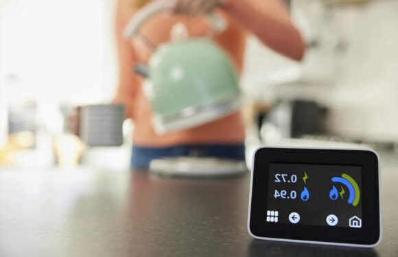You’ve been using your kettle all wrong – the kitchen appliances driving up energy bills and how to fix it | The Sun