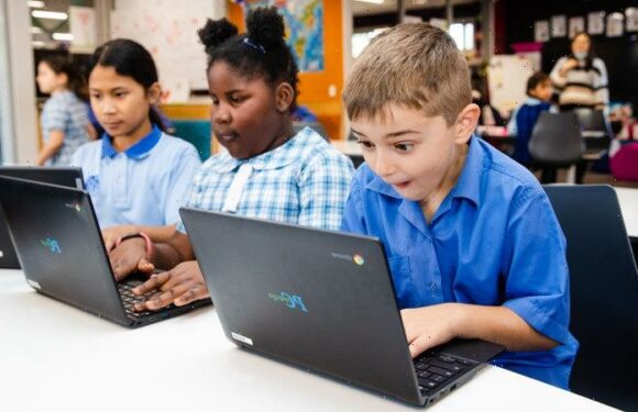 ‘Mixed bag’ as Victorian students slip in numeracy, grammar and spelling in NAPLAN