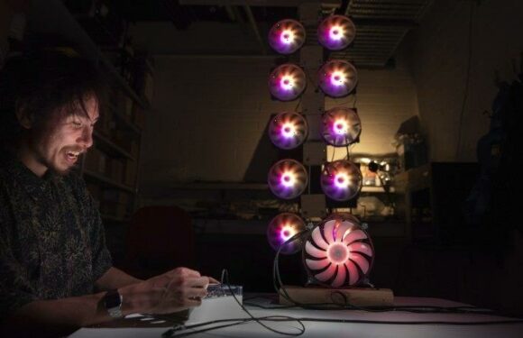 ‘My friends all said don’t move to Melbourne, everyone’s an artist’