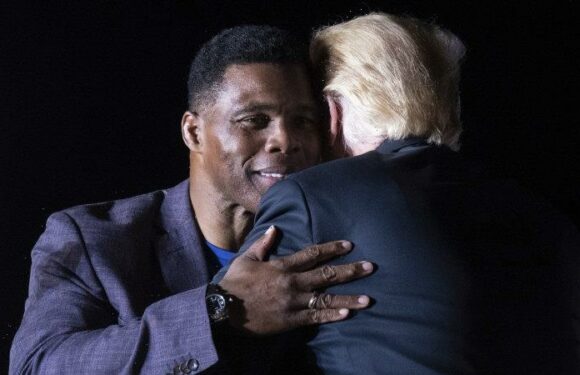 ‘Winning is a virtue’: The Trumpian tactic being embraced by Republicans