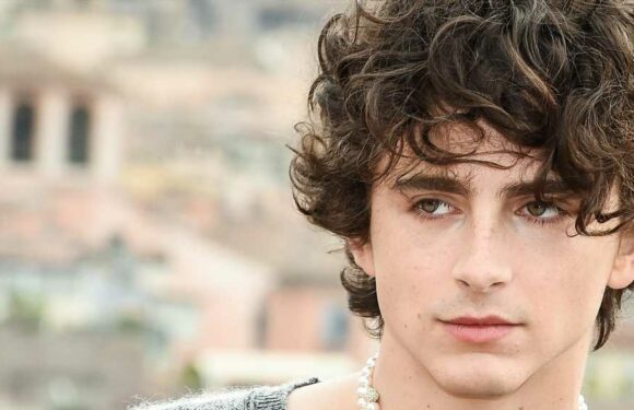 'Bones and All' opens in theaters: See star Timothee Chalamet's pearl and diamond bones choker, plus more of his wildest and most playful fashion moments