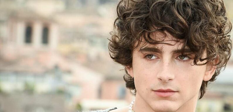 'Bones and All' opens in theaters: See star Timothee Chalamet's pearl and diamond bones choker, plus more of his wildest and most playful fashion moments
