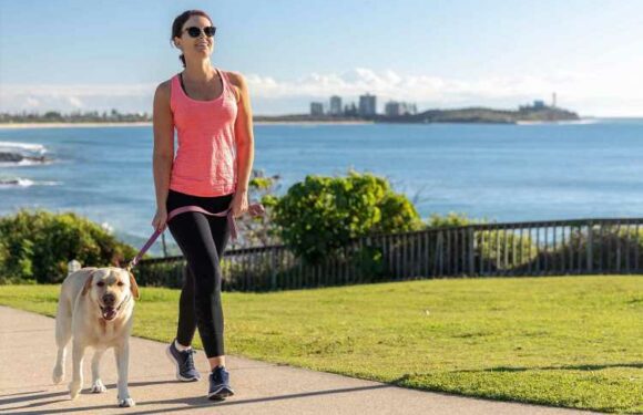 11 Best walking leggings 2022 | The Sun UK | The Sun