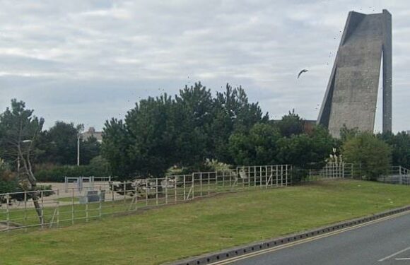 12-year-old's t-shirt set ON FIRE after agreeing to see 'magic trick'