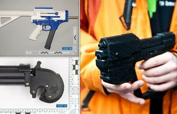 A cheap 3D printer is almost all you need to fashion your own firearm