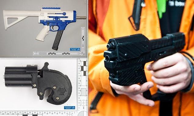 A cheap 3D printer is almost all you need to fashion your own firearm