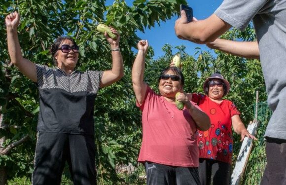 A new kind of influencer: China’s grandparents are going viral