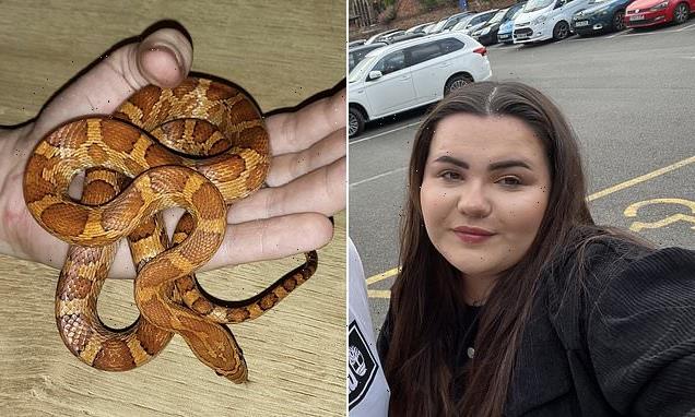 A woman was horrified to find her neighbour's missing snake in her bed