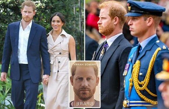 ALISON BOSHOFF: Prince Harry may spare royal feelings
