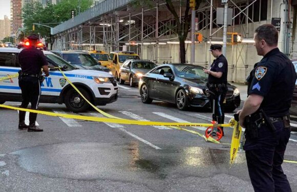 Actress Lisa Banes Critically Injured in Hit-and-Run Scooter Accident, Photos of Scene