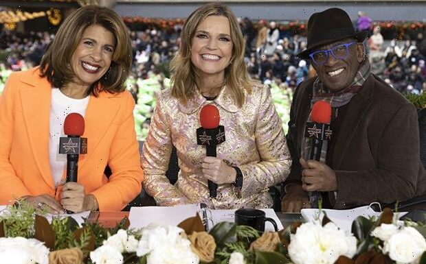 Al Roker Sits Out Macy's Parade for First Time in 27 Years — Here's Why