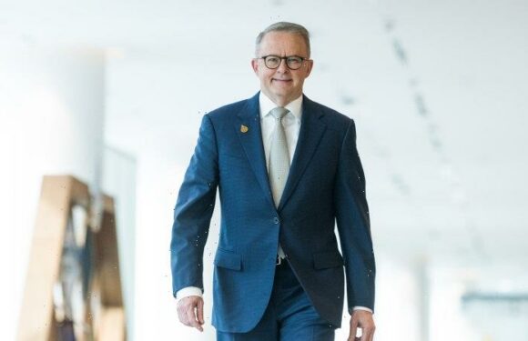 Albanese: ‘I’m not getting ahead of myself’ on China