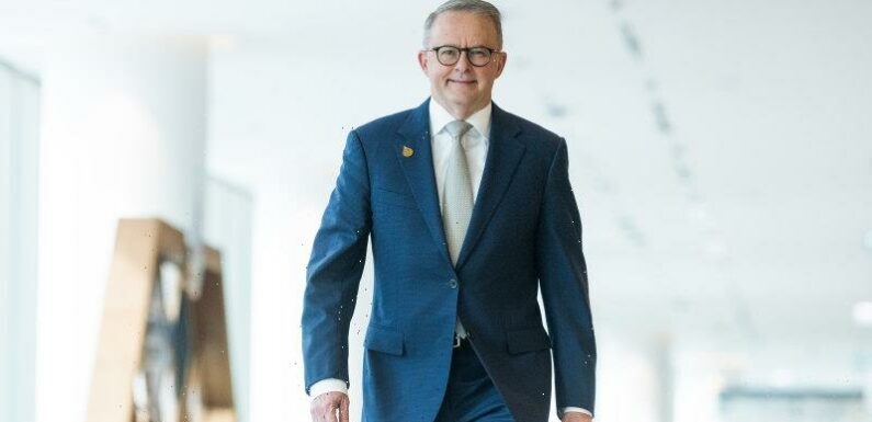 Albanese: ‘I’m not getting ahead of myself’ on China