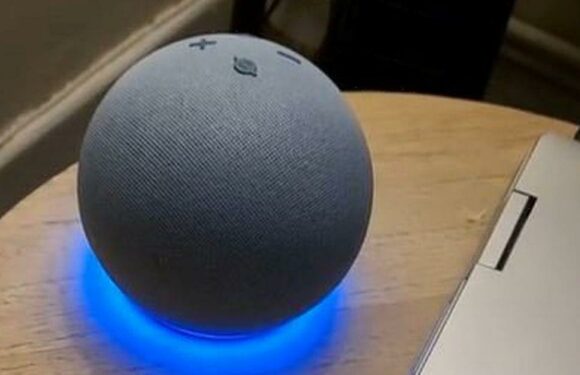 Alexa ‘broken’ after ‘terrible’ Amazon Music update that leaves fans furious