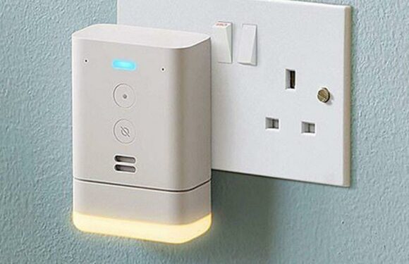 Alexa speaker Echo Flex drops down to £9.99 in massive Black Friday discount