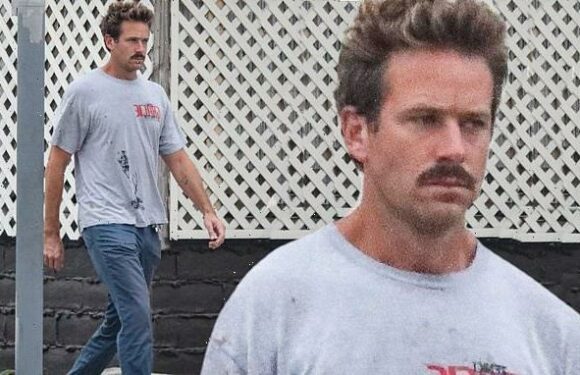 Armie Hammer seen for first time since father Michael's death
