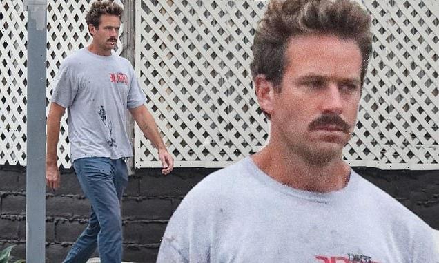 Armie Hammer seen for first time since father Michael's death
