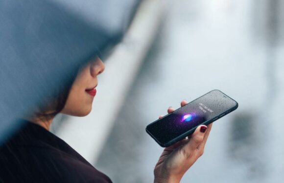 Artist builds AI to speak to her ‘past self’ and chat to her ‘inner child’