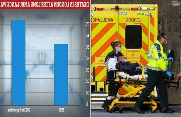 At least 64 people died in London this year after long ambulance waits