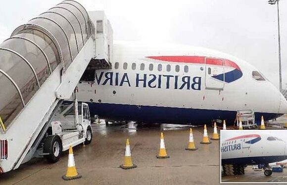 BA pilot and cargo worker injured when plane's nose hit ground