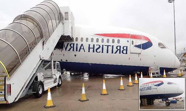 BA pilot and cargo worker injured when plane's nose hit ground