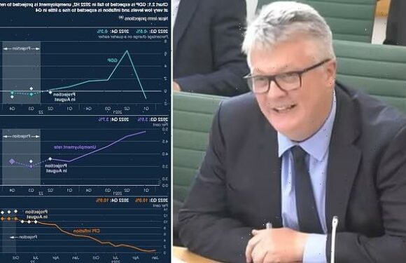 Bank of England chief economist warns interest rates WILL rise again