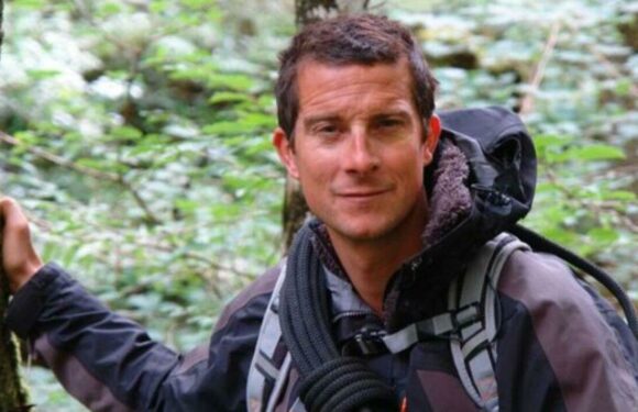 Bear Grylls led expedition searching Pippa Middleton’s brother-in-law