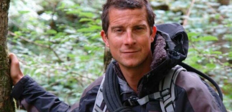 Bear Grylls led expedition searching Pippa Middleton’s brother-in-law