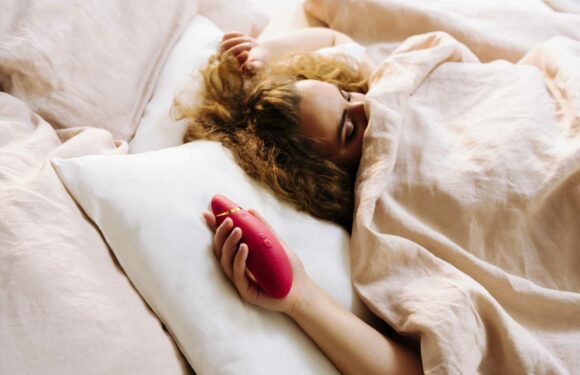 Black Friday sex toy deals 2022: Early deals from Lelo, Lovehoney and more | The Sun