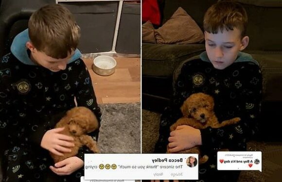 Boy, 11, goes viral after his mother shares his reaction to a puppy