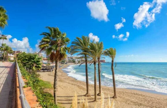 Brit expat arrested on suspicion of 'stabbing his wife to death in frenzied knife attack' in Spain | The Sun