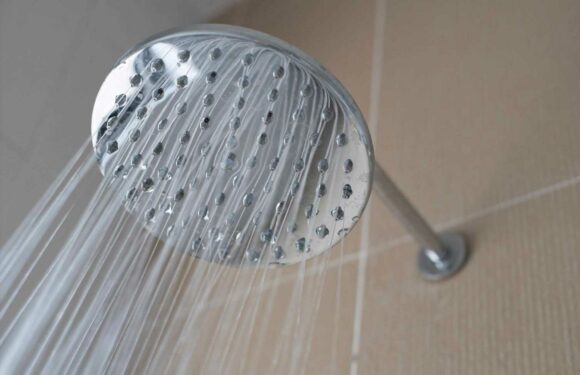 Brits' most common showering techniques revealed – here's what yours says about you | The Sun