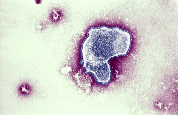 Cases of potentially fatal childhood virus on the rise – the 4 signs you must know | The Sun