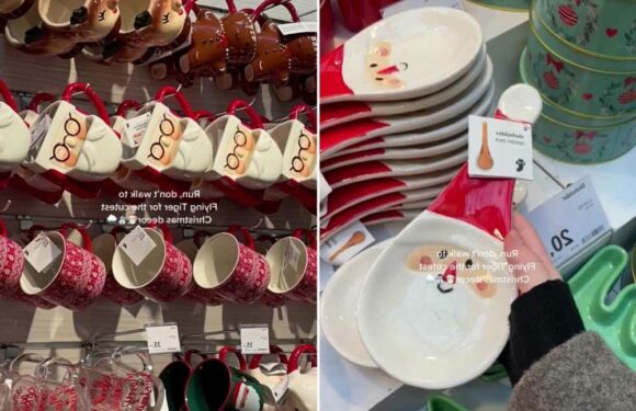 Christmas fans rave about new range from Flying Tiger including festive mugs and decorations for £3 | The Sun