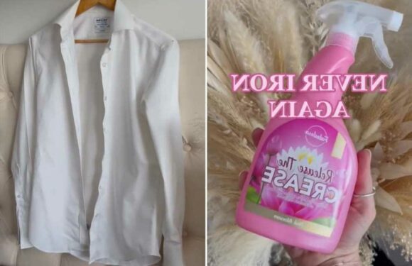 Cleaning fans go wild for new Fabulosa release which means you’ll never iron again & your house will smell amazing too | The Sun