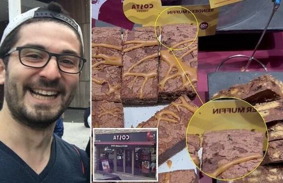 Costa customer films flies and ants crawling over treats on display