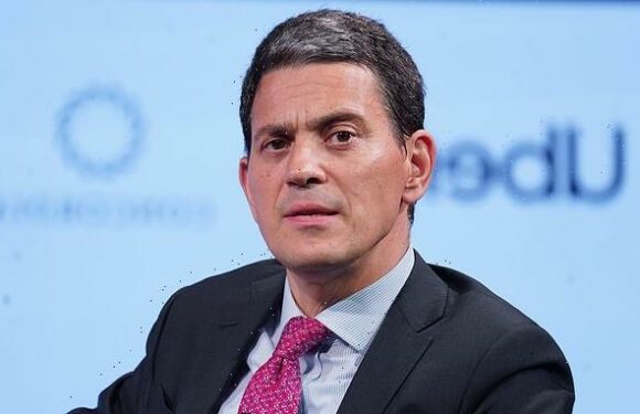 DANIEL JOHNSON: Spare us the return of David Miliband