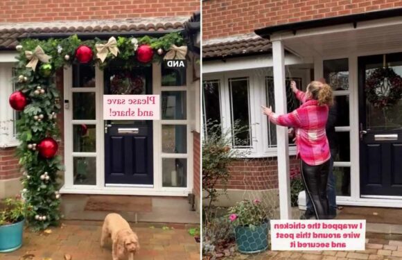 DIY enthusiast shares easy way to make your own Christmas door display using old baubles – and it looks so expensive | The Sun