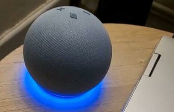 Dad claims Alexa told him to ‘punch his kids in the throat’ as parenting advice