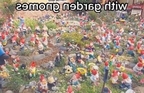 Dark website offers to fill someone’s house with poo-filled garden gnomes